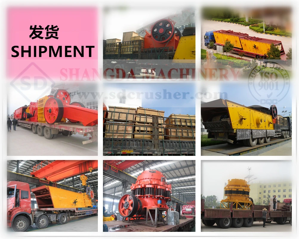 Ore Mining Plant Vibrating/Coal Hopper Feeder